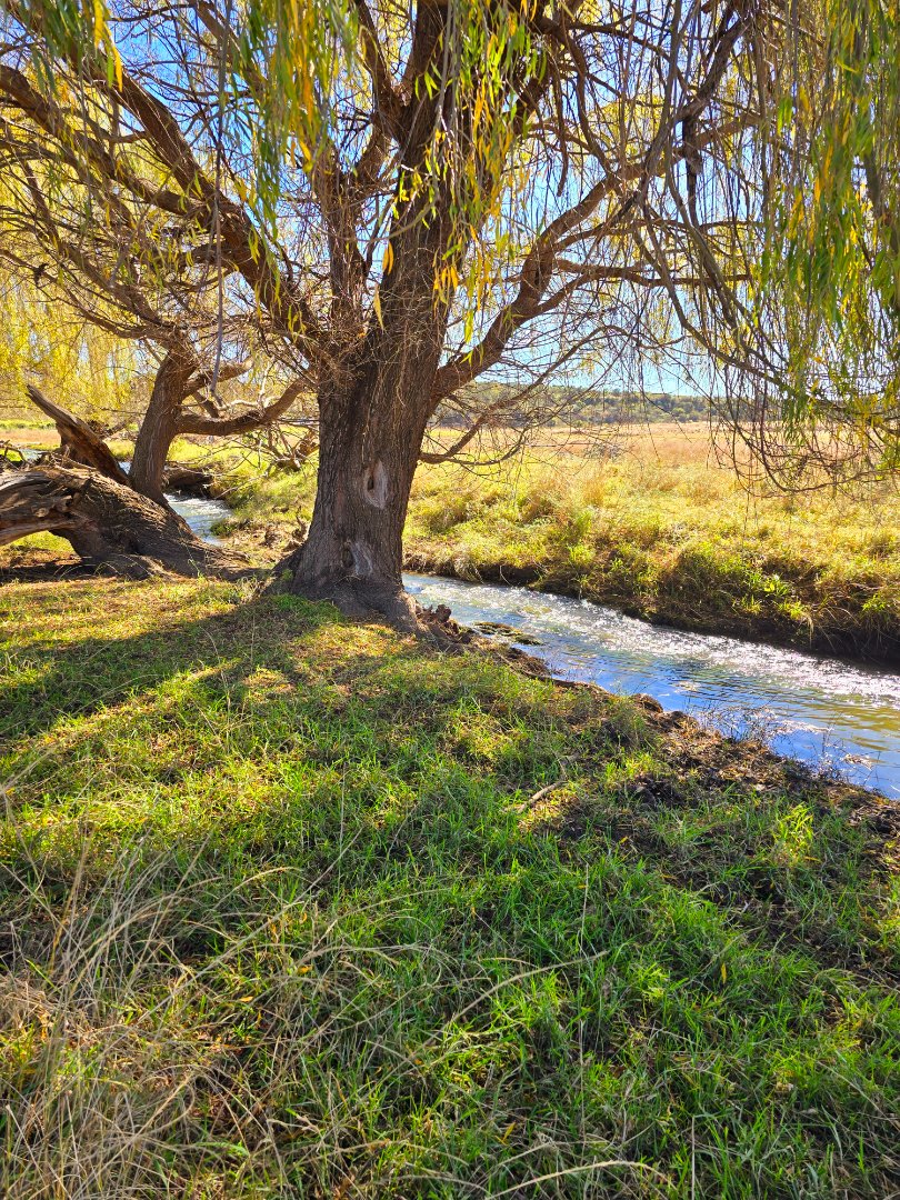 Commercial Property for Sale in Klerksdorp Rural North West